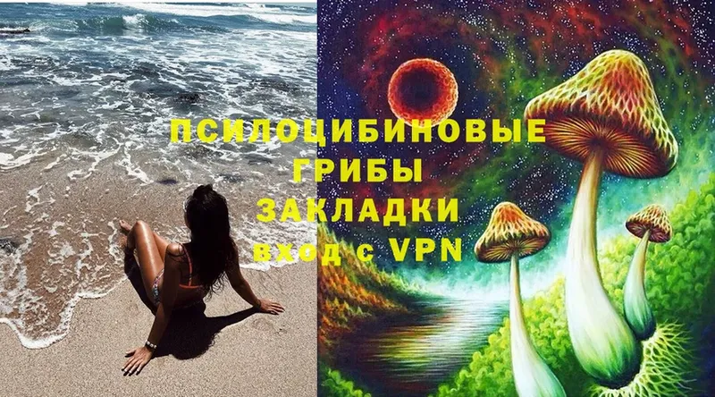 Галлюциногенные грибы Magic Shrooms  darknet какой сайт  Куса 